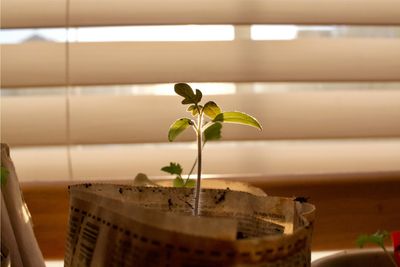 Culture by Design: Steering Your Organisation Through the Waves of Growth