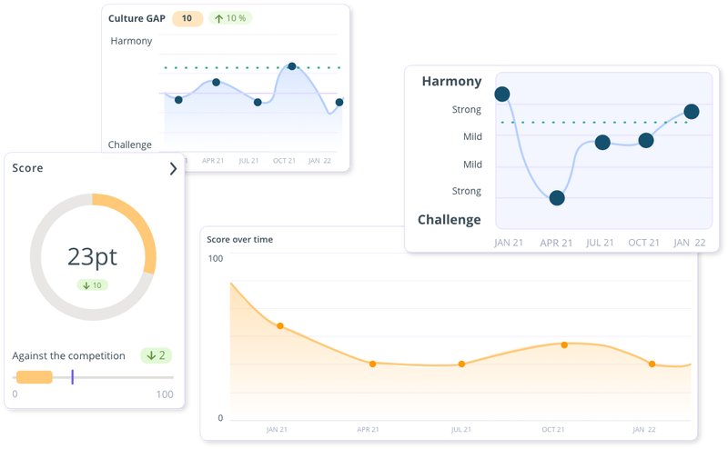 Culture Measurement Tool