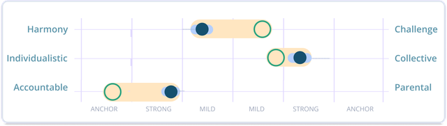 The Culture Assessment Tool - Culture Diagnostic 1