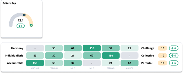 Culture Measurement - Culture Gap
