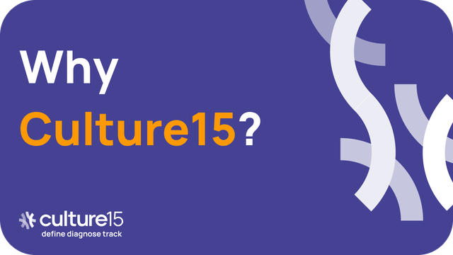 3 Reasons to choose Culture15