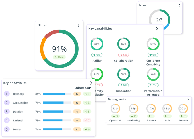 Culture Measurement Platform