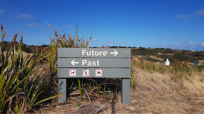 The Future of HR: Culture15’s Vision