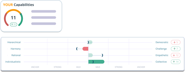 The Culture Assessment Tool - Custom Capabilities
