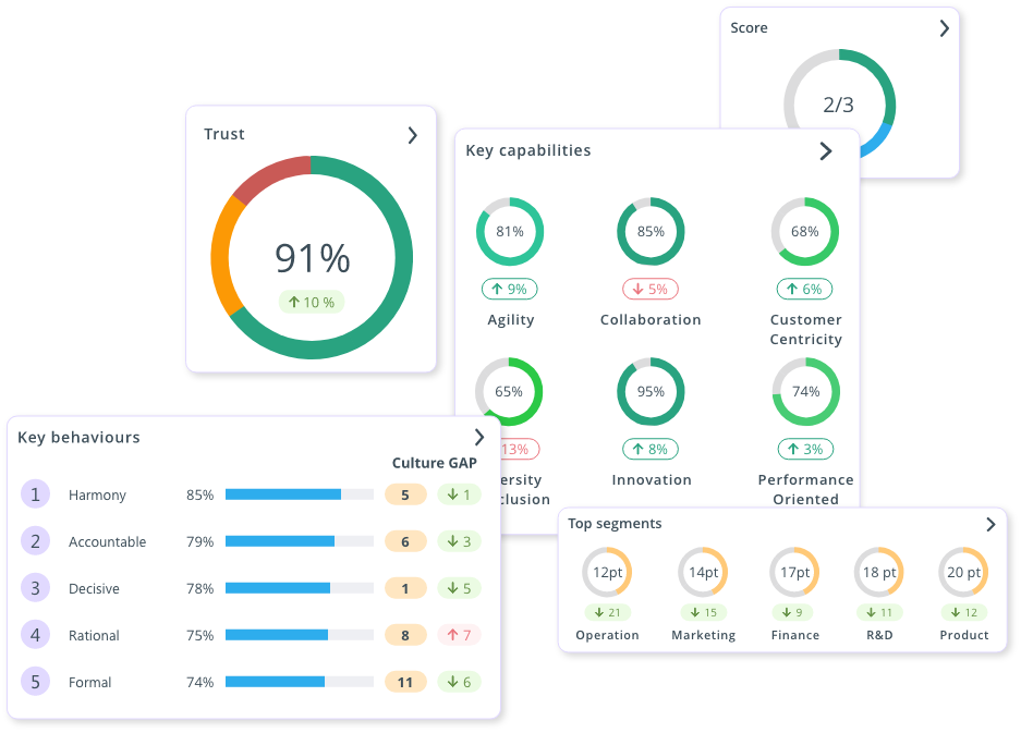 Culture Measurement Platform