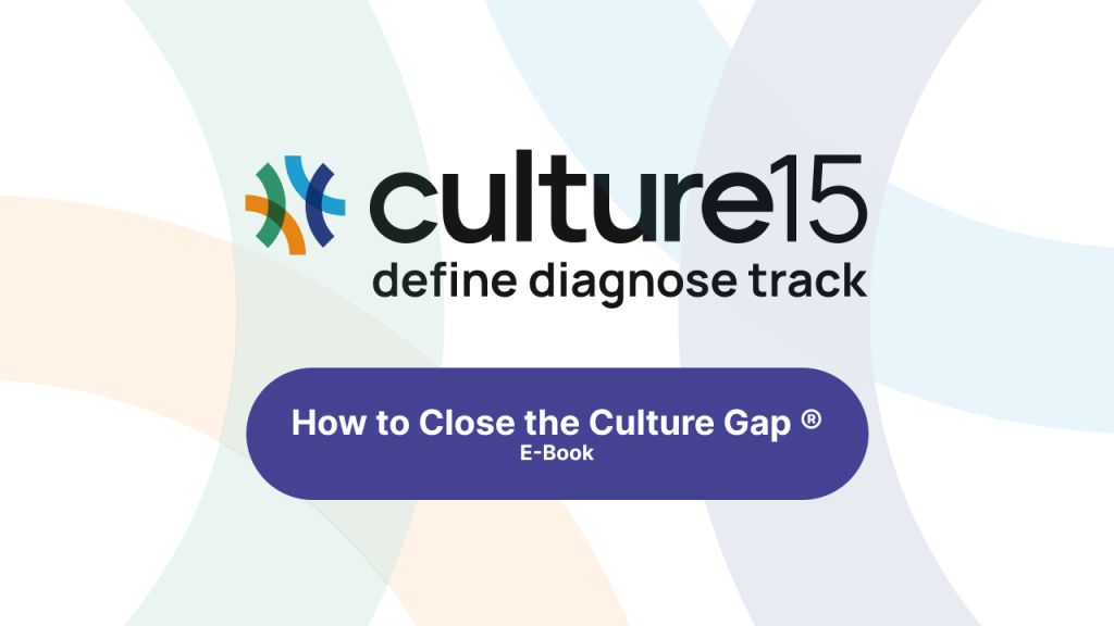 How to Close the Culture Gap Ebook